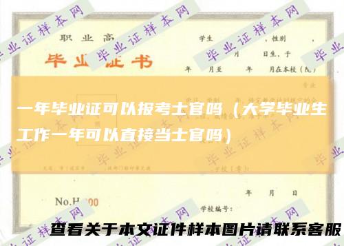 一年毕业证可以报考士官吗（大学毕业生工作一年可以直接当士官吗）
