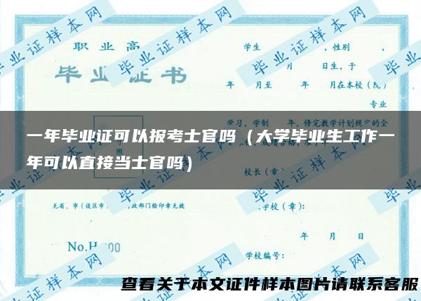 一年毕业证可以报考士官吗（大学毕业生工作一年可以直接当士官吗）