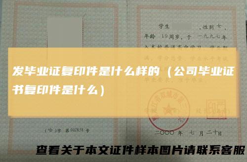 发毕业证复印件是什么样的（公司毕业证书复印件是什么）