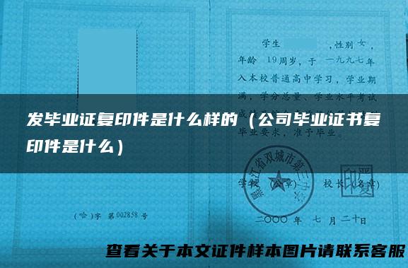发毕业证复印件是什么样的（公司毕业证书复印件是什么）