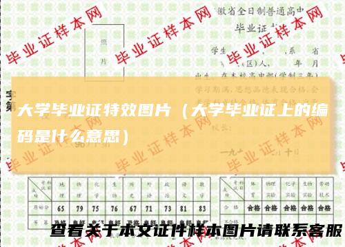 大学毕业证特效图片（大学毕业证上的编码是什么意思）