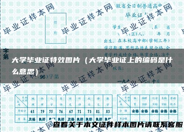 大学毕业证特效图片（大学毕业证上的编码是什么意思）