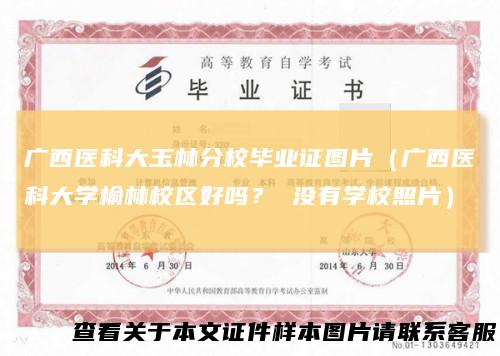 广西医科大玉林分校毕业证图片（广西医科大学榆林校区好吗？ 没有学校照片）
