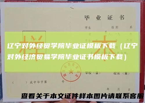 辽宁对外经贸学院毕业证模板下载（辽宁对外经济贸易学院毕业证书模板下载）