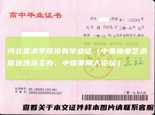 河北美术学院没有毕业证（中国抽象艺术促进沙龙主办、中国策展人论坛）