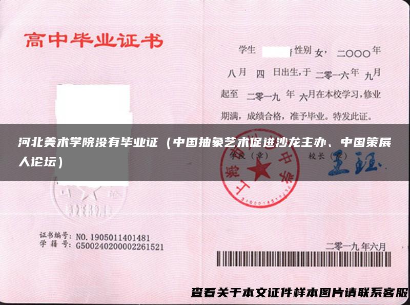 河北美术学院没有毕业证（中国抽象艺术促进沙龙主办、中国策展人论坛）
