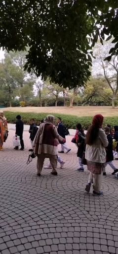 湖南药科大学毕业证图片（林大唯一的数学系占坑,理科生的文采就不要奢求了）插图
