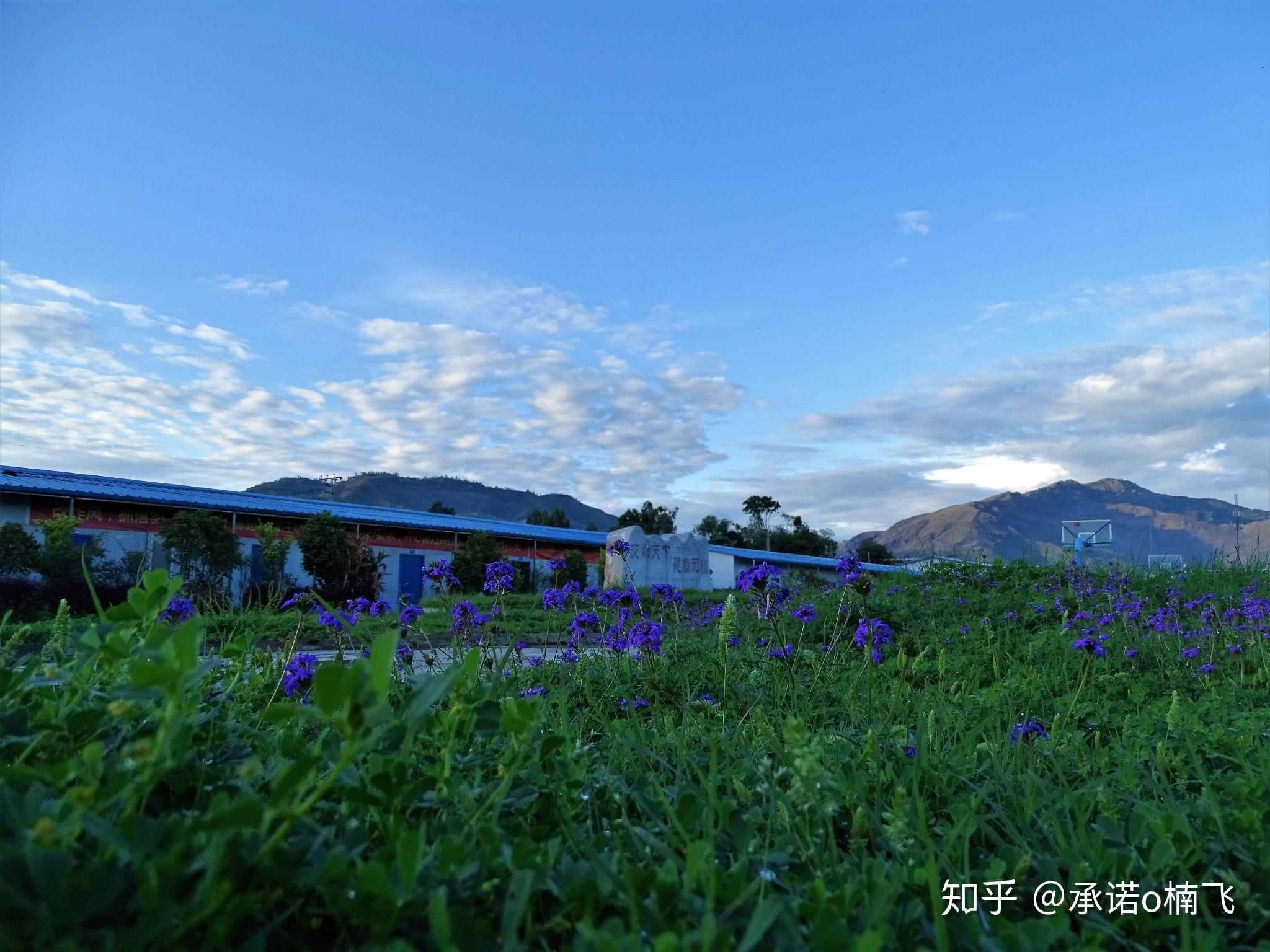 湖南药科大学毕业证图片（林大唯一的数学系占坑,理科生的文采就不要奢求了）插图2