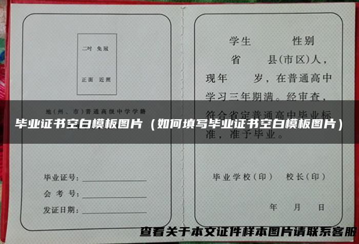 毕业证书空白模板图片（如何填写毕业证书空白模板图片）