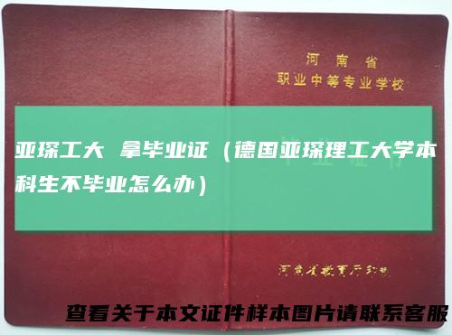 亚琛工大 拿毕业证（德国亚琛理工大学本科生不毕业怎么办）