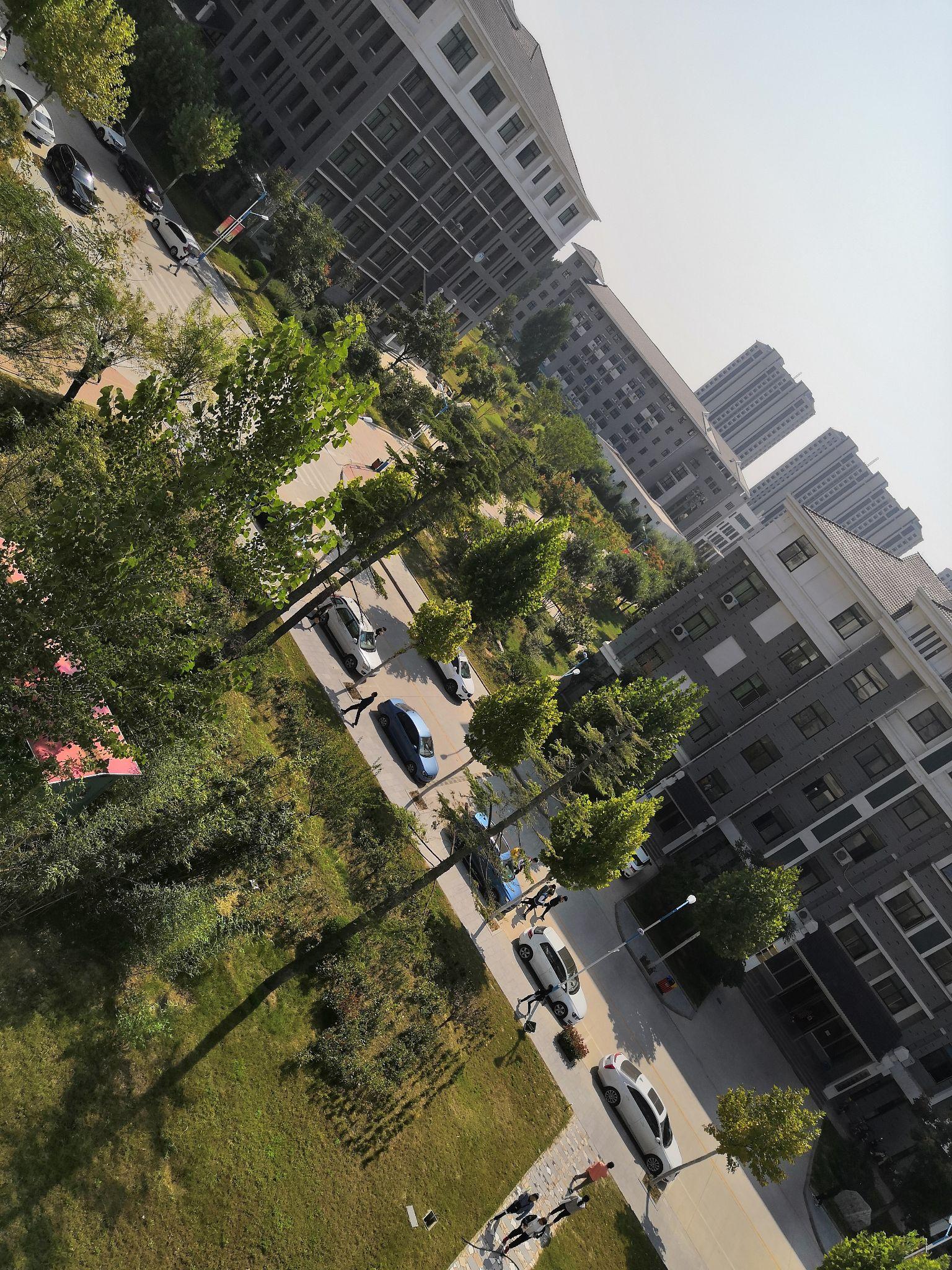 河南大学毕业证校长签名（宿舍食堂教师环境。包括大学附近的一些生活水平）插图4