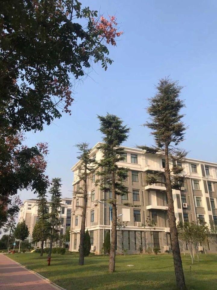 河南大学毕业证校长签名（宿舍食堂教师环境。包括大学附近的一些生活水平）插图12