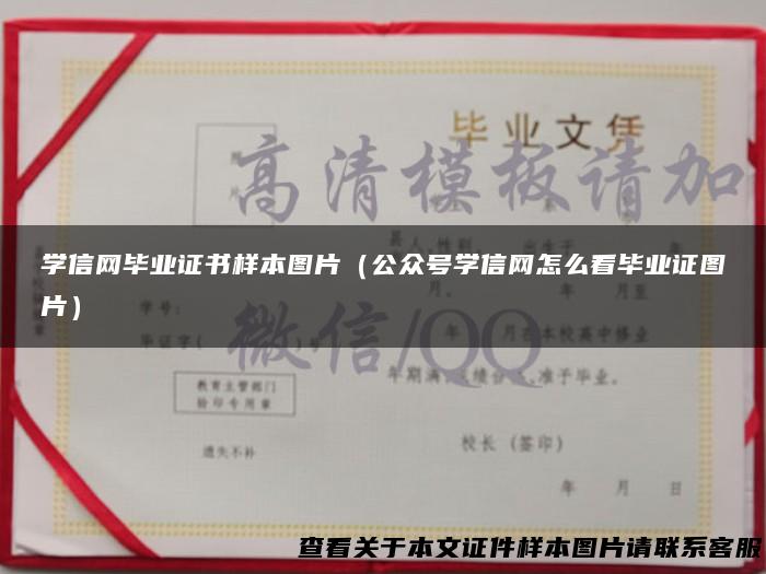 学信网毕业证书样本图片（公众号学信网怎么看毕业证图片）