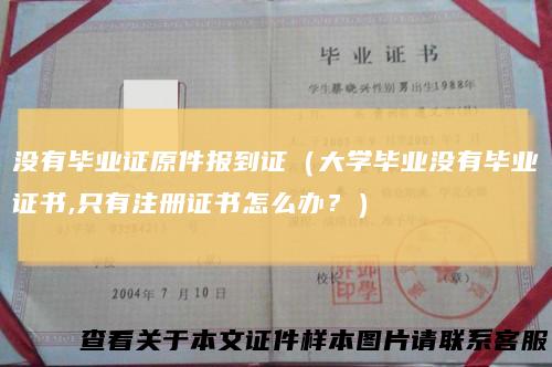 没有毕业证原件报到证（大学毕业没有毕业证书,只有注册证书怎么办？）