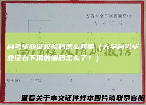 自考毕业证校验码怎么回事（大学自考毕业证右下角的编码怎么了？）