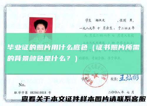 毕业证的照片用什么底色（证书照片所需的背景颜色是什么？）