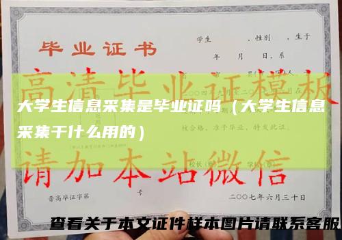 大学生信息采集是毕业证吗（大学生信息采集干什么用的）