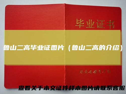鲁山二高毕业证图片（鲁山二高的介绍）