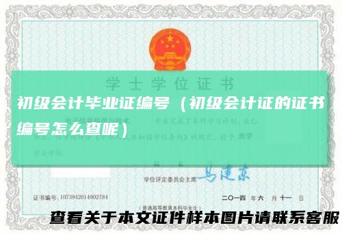 初级会计毕业证编号（初级会计证的证书编号怎么查呢）