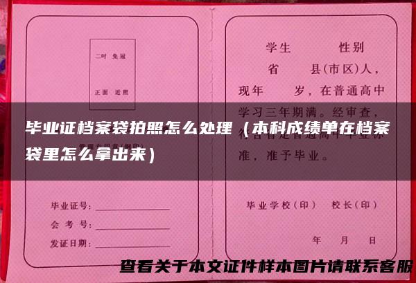 毕业证档案袋拍照怎么处理（本科成绩单在档案袋里怎么拿出来）