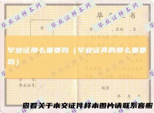 毕业证那么重要吗(毕业证真的那么重要吗)