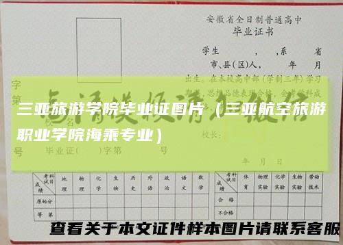 三亚旅游学院毕业证图片(三亚航空旅游职业学院海乘专业)