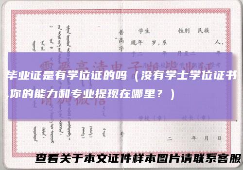 毕业证是有学位证的吗（没有学士学位证书,你的能力和专业提现在哪里？）