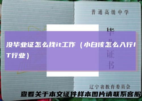 没毕业证怎么找it工作（小白该怎么入行IT行业）