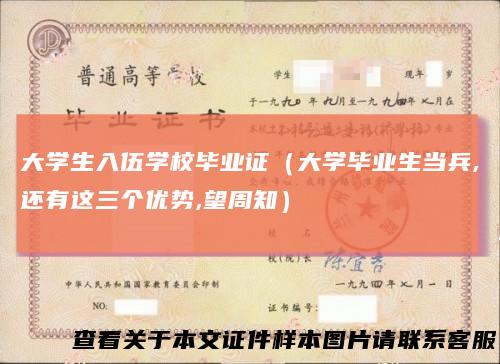 大学生入伍学校毕业证（大学毕业生当兵,还有这三个优势,望周知）