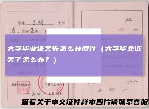 大学毕业证丢失怎么补原件（大学毕业证丢了怎么办？）
