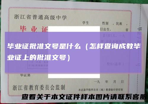 毕业证批准文号是什么(怎样查询成教毕业证上的批准文号)