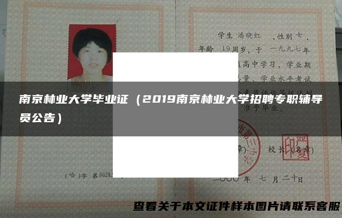 南京林业大学毕业证（2019南京林业大学招聘专职辅导员公告）
