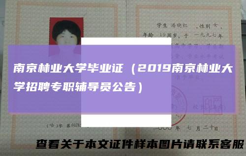 南京林业大学毕业证（2019南京林业大学招聘专职辅导员公告）
