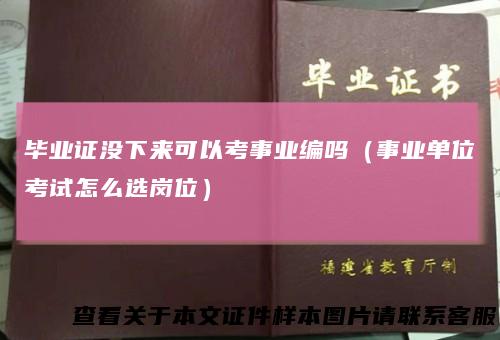 毕业证没下来可以考事业编吗（事业单位考试怎么选岗位）