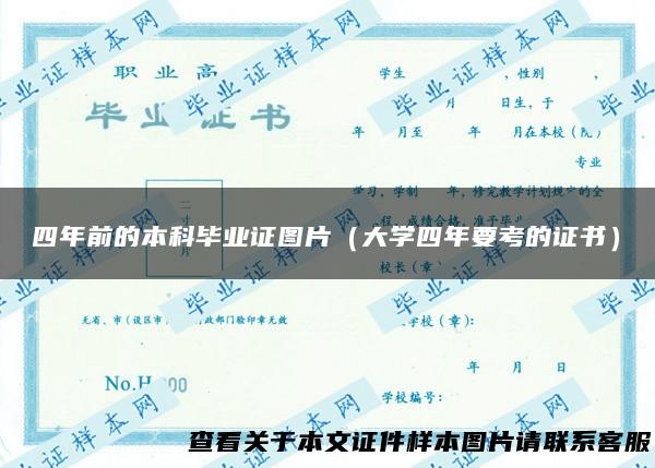 四年前的本科毕业证图片（大学四年要考的证书）