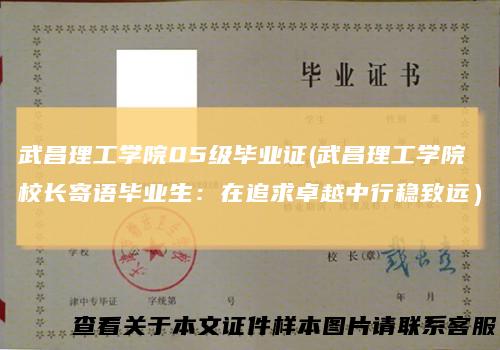 武昌理工学院05级毕业证(武昌理工学院校长寄语毕业生：在追求卓越中行稳致远）
