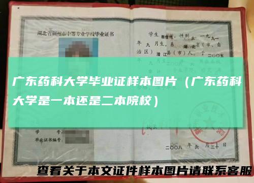 广东药科大学毕业证样本图片（广东药科大学是一本还是二本院校）