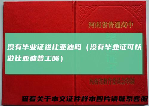 没有毕业证进比亚迪吗（没有毕业证可以做比亚迪普工吗）