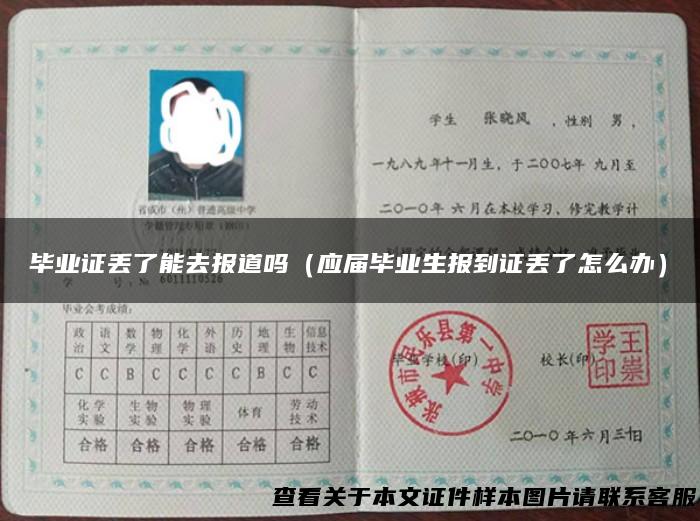 毕业证丢了能去报道吗（应届毕业生报到证丢了怎么办）