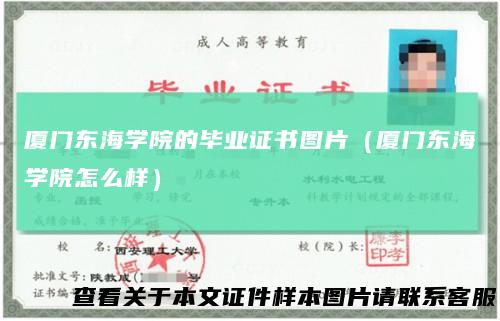 厦门东海学院的毕业证书图片（厦门东海学院怎么样）