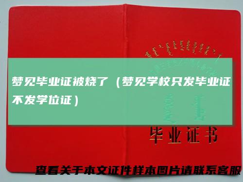 梦见毕业证被烧了(梦见学校只发毕业证不发学位证)