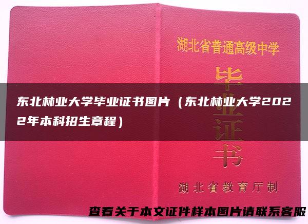 东北林业大学毕业证书图片（东北林业大学2022年本科招生章程）