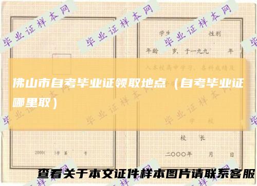 佛山市自考毕业证领取地点（自考毕业证哪里取）