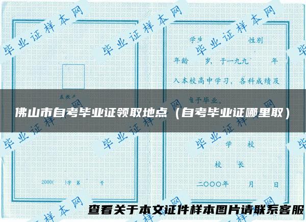 佛山市自考毕业证领取地点（自考毕业证哪里取）
