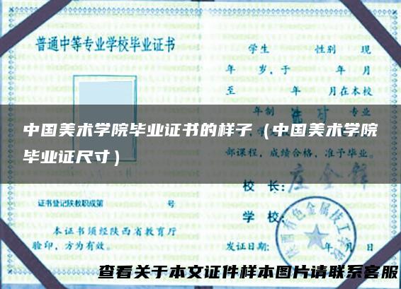 中国美术学院毕业证书的样子（中国美术学院毕业证尺寸）