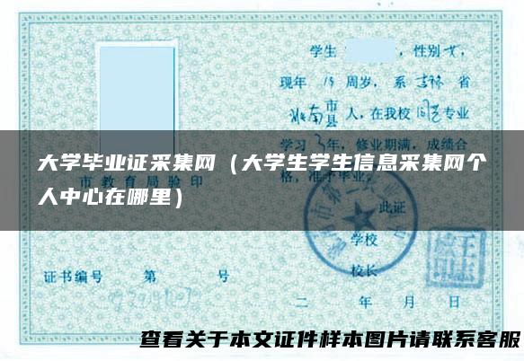 大学毕业证采集网（大学生学生信息采集网个人中心在哪里）