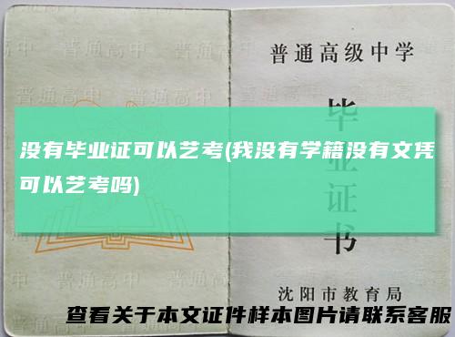 没有毕业证可以艺考(我没有学籍没有文凭可以艺考吗)