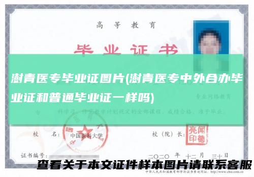 澍青医专毕业证图片(澍青医专中外合办毕业证和普通毕业证一样吗)