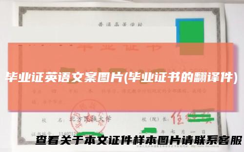 毕业证英语文案图片(毕业证书的翻译件)