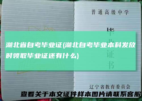 湖北省自考毕业证(湖北自考毕业本科发放时领取毕业证还有什么)